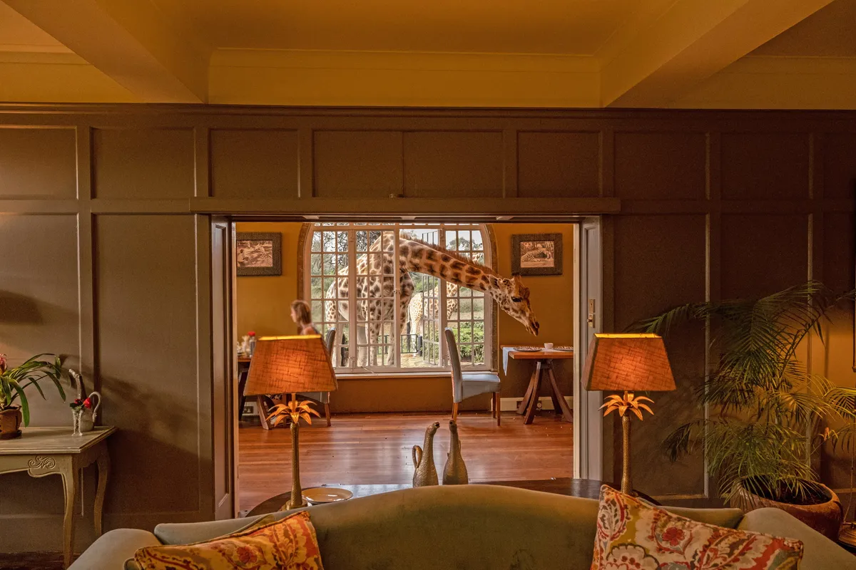 The Retreat at Giraffe Manor — photo 75