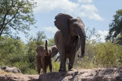 Tongabezi Lodge, Livingstone, Zambia