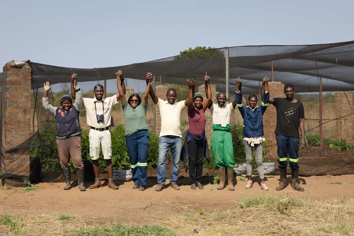 Tongabezi Lodge — photo 103