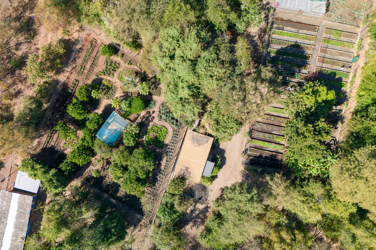 Tongabezi Lodge — photo 125