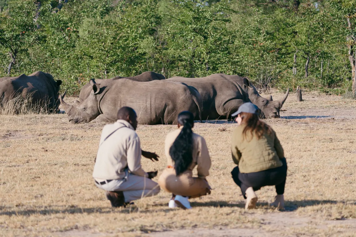 Tongabezi Lodge — photo 131