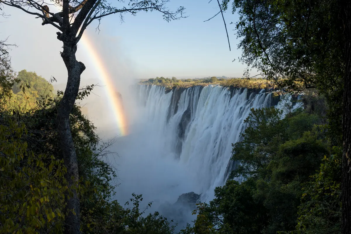 Tongabezi Lodge — photo 152