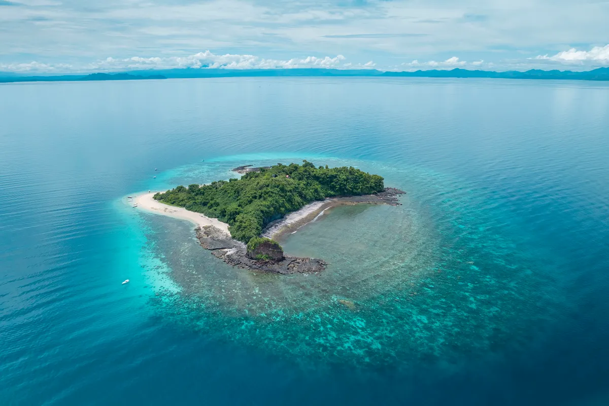 Tsara Komba — photo 4