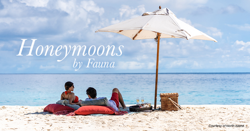 Honeymoons by Fauna