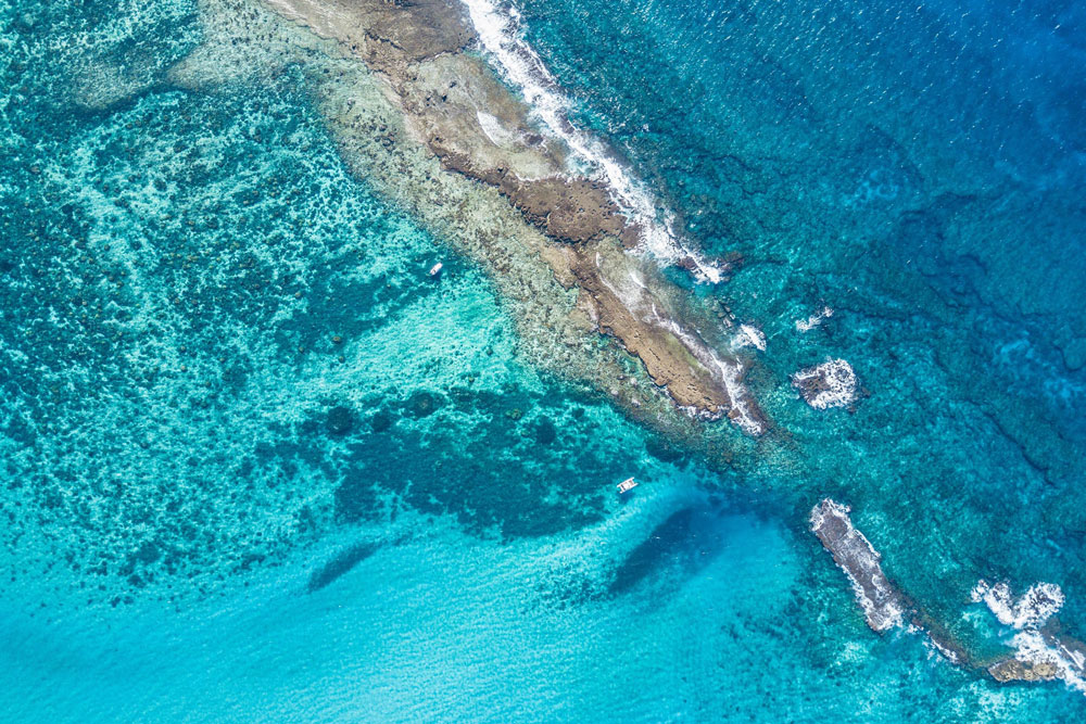 Bazaruto Reef near Azura Benguerra Island, Mozambique / Courtesy of Azura luxury Indian Ocean beach resort