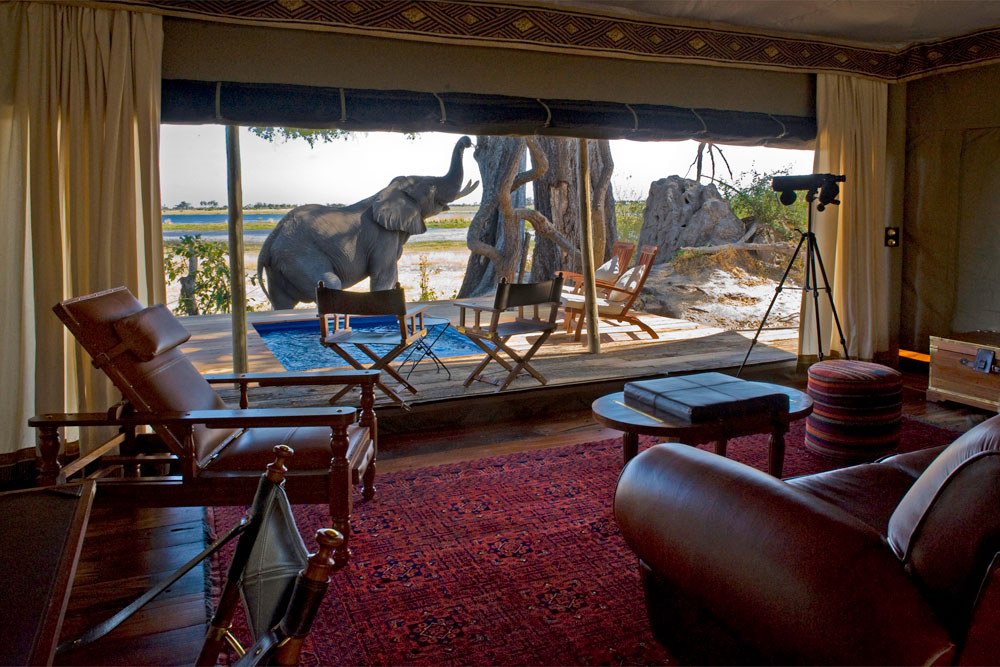 Guest Tent View at Zarafa Camp Botswana Okavango Luxury Safari / Courtesy Great Plains