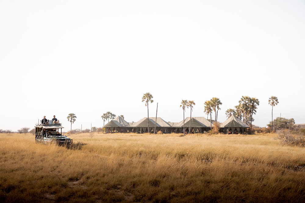 Jack's Camp Luxury Botswana Safari Game Drives / Courtesy Natural Selection Travel