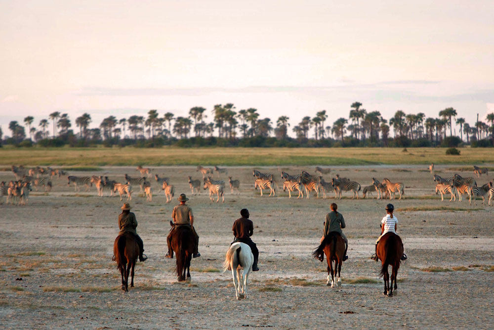 Jack's Camp Luxury Botswana Safari Horseback Riding / Courtesy Natural Selection Travel