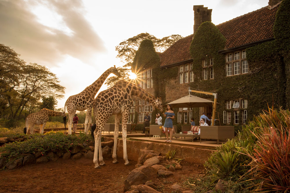 Sunset cocktails at Giraffe Manor, luxury Kenya safari / Courtesy of The Safari Collection