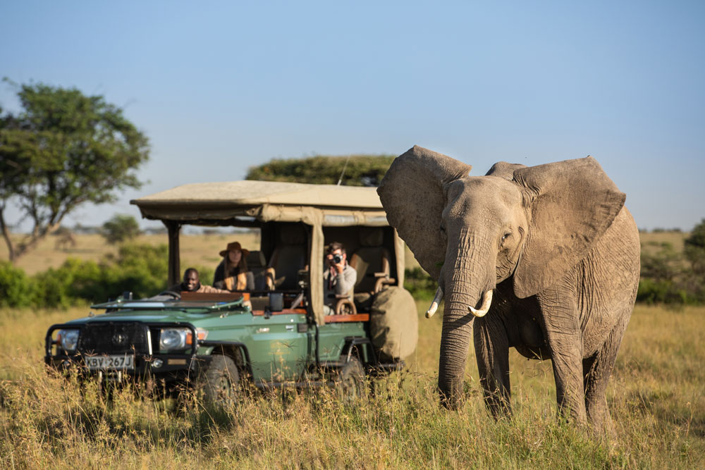Game Drive at Mara Plains, luxury Kenya safari / Courtesy of Great Plains Conservation