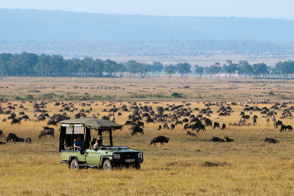 Great migration at Mara Plains, luxury Kenya safari / Courtesy of Great Plains Conservation