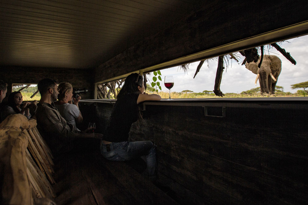Hide at Ol Donyo Lodge, luxury Kenya safari / Courtesy of Great Plains Conservation
