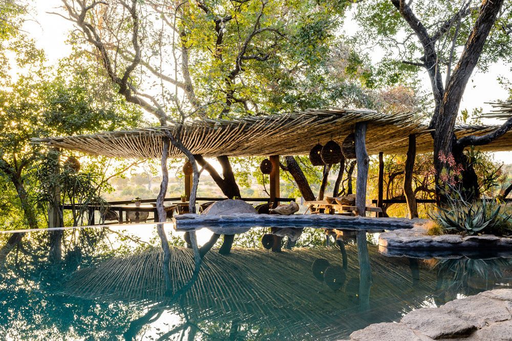 Pool at Singita Boulders Lodge, luxury South Africa safari / Courtesy Singita