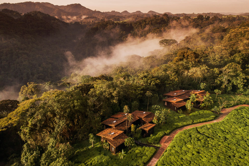 Tea fields and exterior of One & Only Nyungwe House / Courtesy of One & Only Resorts chimpanzee trekking Rwanda
