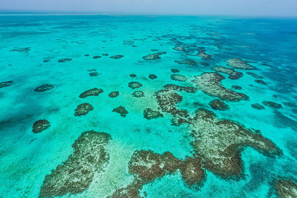 Belize barrier reef near Terneffe Island Resort / courtesy of Terneffe Island Resort luxury Belize beach resort