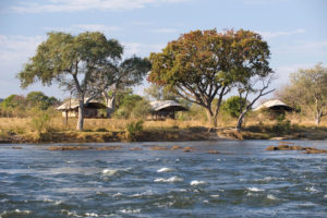 Toka Leya / Dana Allen / Courtesy of Wilderness Safaris luxury Zambia safari
