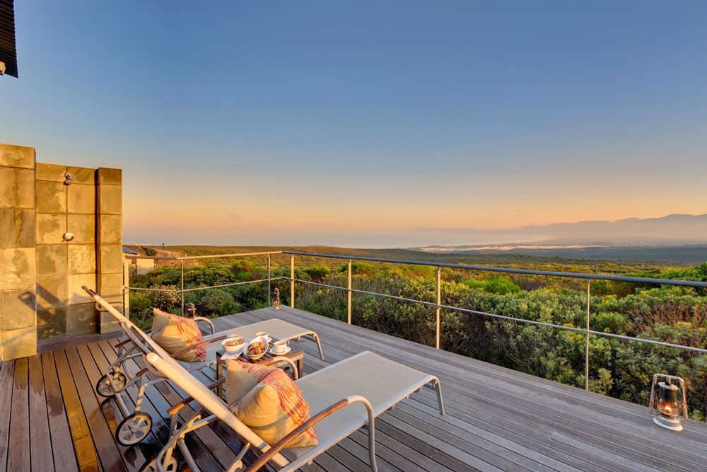 Forest suite at Grootbos Private Nature Reserve / Courtesy of Grootbos luxury South Africa Beach resort