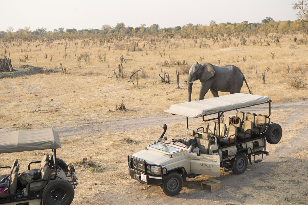 Game drive at Somalisa Camp / Courtesy of African Bush Camps luxury Zimbabwe safari