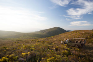 Flower safari at Grootbos Private Nature Reserve / Courtesy of Grootbos luxury South Africa Beach resort