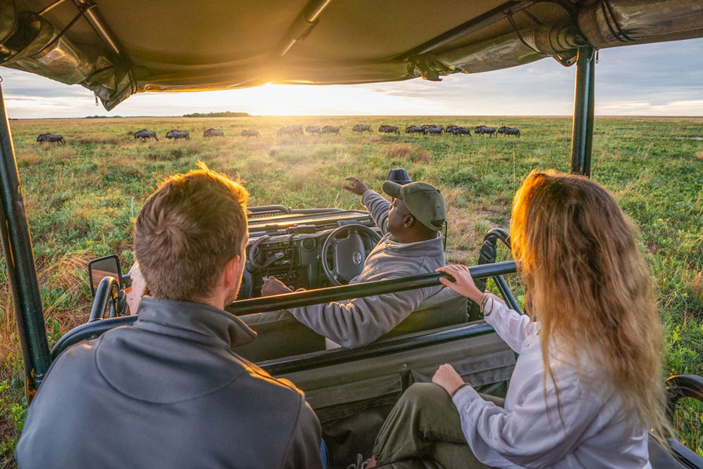 Game drives at King Lewanika / Courtesy of Time & Tide