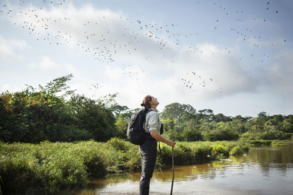 Forest walk at Lango Camp / Courtesy of Congo Conservation Company