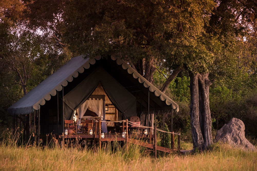 Guest tent at Duke's Camp / Courtesy of Natural Selection luxury Botswana safari