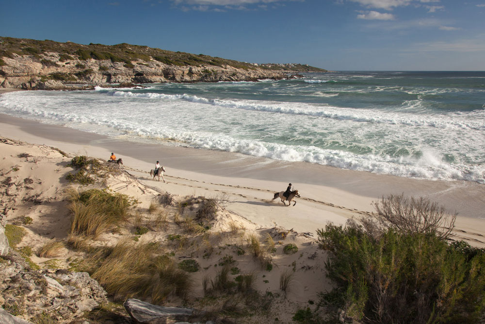 Horseback riding at Grootbos Private Nature Reserve / Courtesy of Grootbos luxury South Africa Beach resort