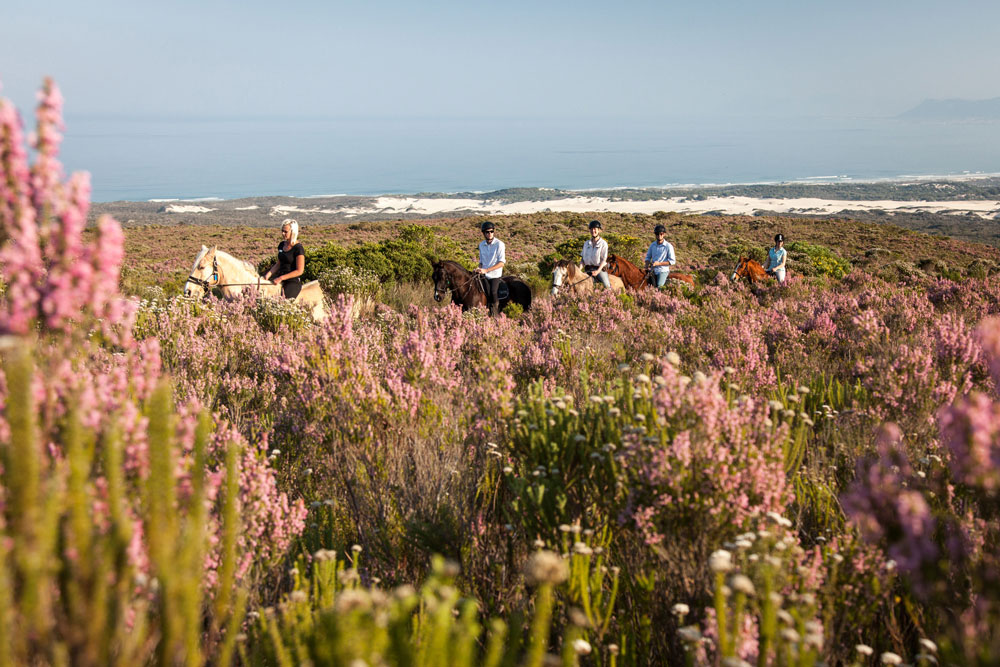 Grootbos Private Nature Reserve / Courtesy of Grootbos luxury South Africa Beach resort