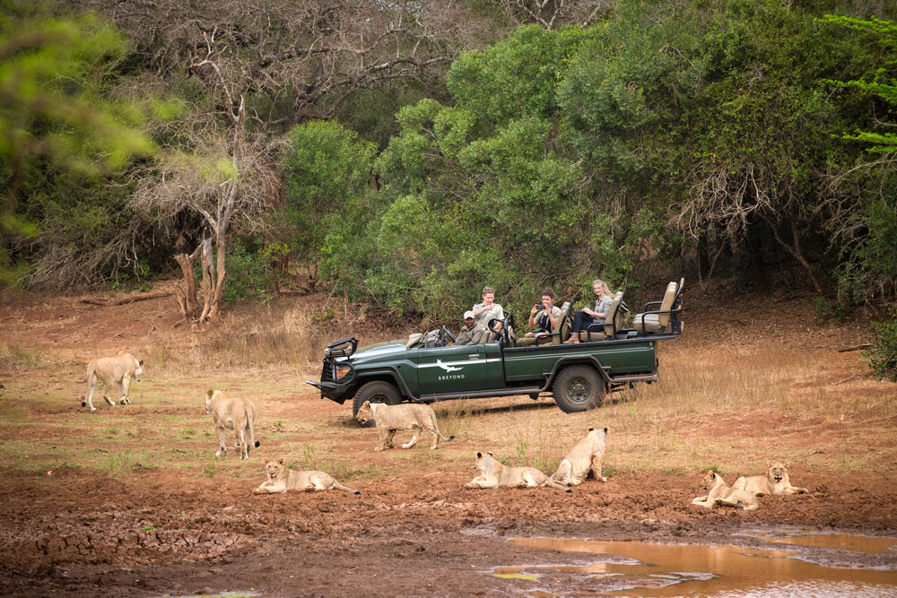 Game drives at &Beyond Phinda Mountain Lodge / Courtesy of &Beyond luxury South Africa Safari