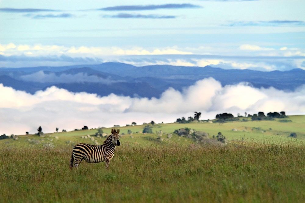 Nyika Plateau near Chelinda Lodge / Courtesy of Central African Wilderness Safaris luxury Malawi safari