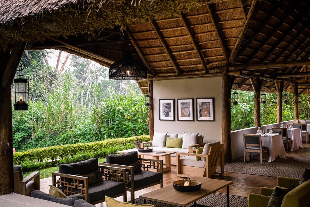 Lounge at Sanctuary Gorilla Forest Camp / Courtesy of Sanctuary Retreats luxury Uganda gorilla trekking