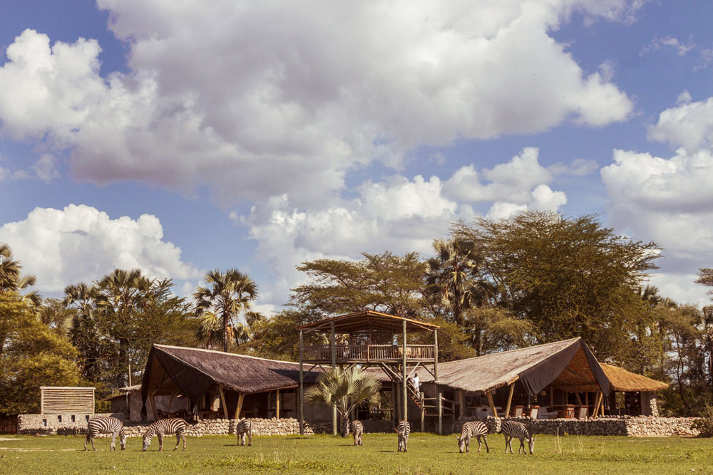 Chem Chem Lodge / Courtesy of Chem Chem Safaris luxury Tanzania safari
