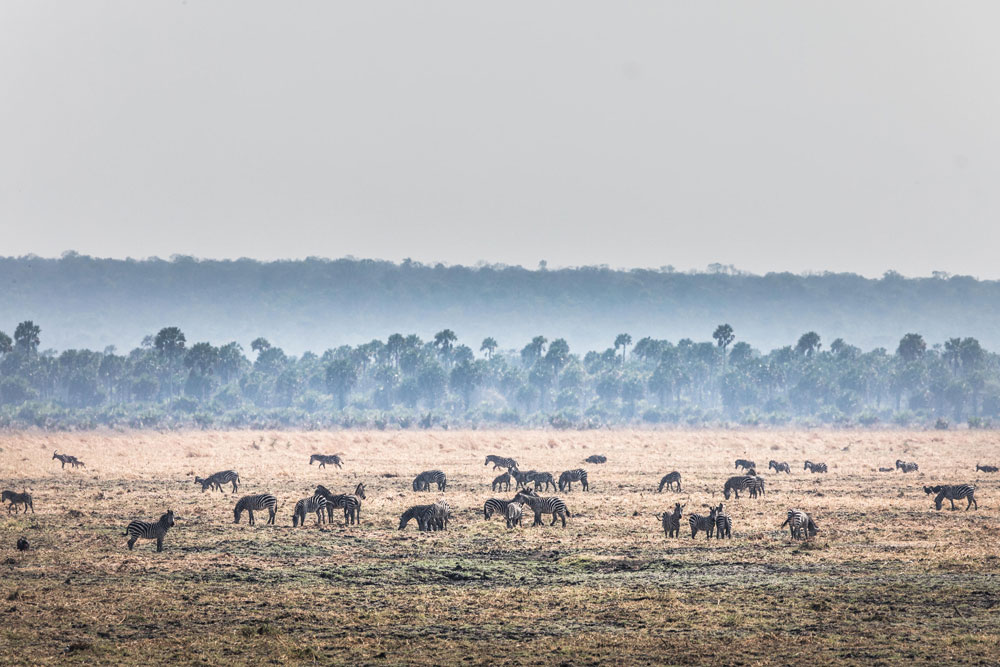 Katavi National Park near Chada Katavi / Courtesy of Nomad Tanzania luxury safari