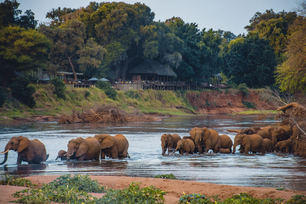 Elephants at Pafuri Tented Camp / Courtesy of RETURNAfrica luxury safari