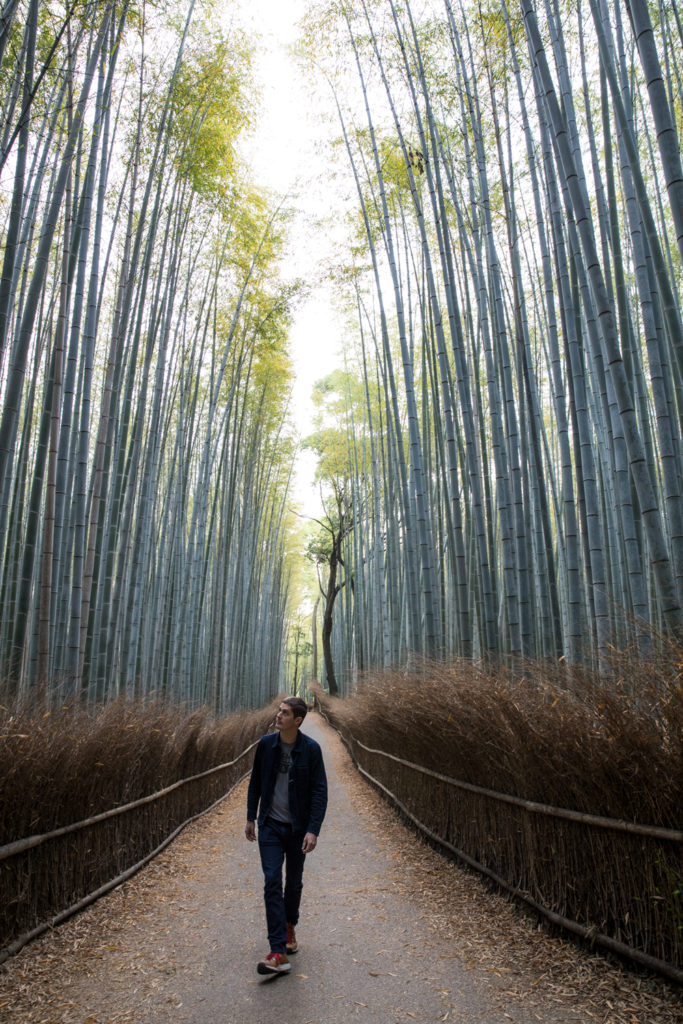 Scott at the Arashiyama Bamboo Grove in Kyoto / Wynn Myers