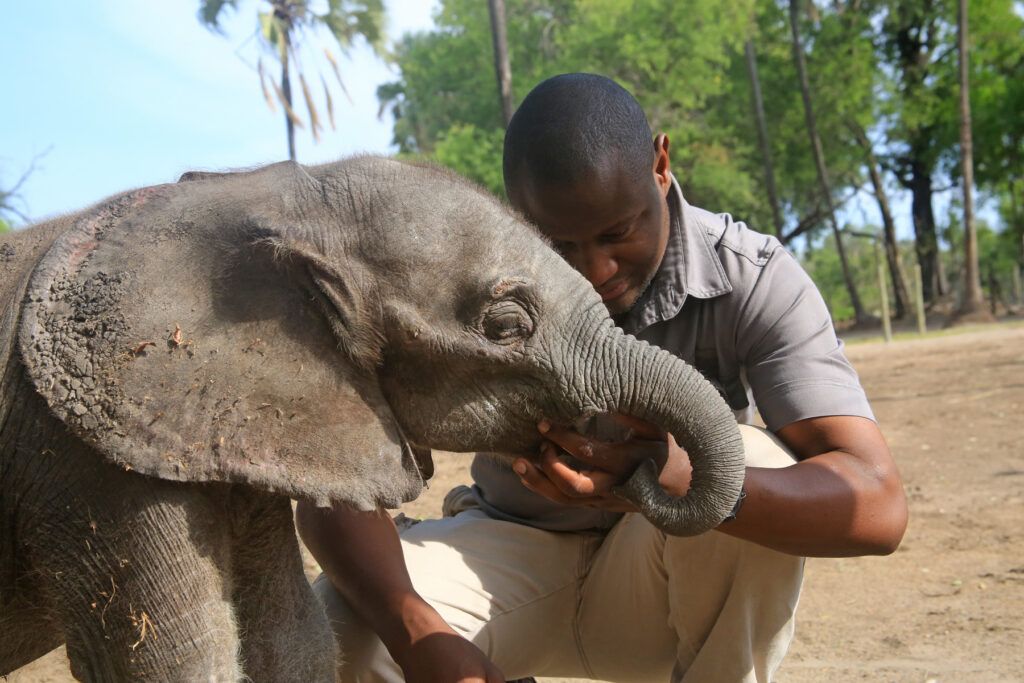 Elephant Havens Orphanage, Botswana / Courtesy of Elephant Havens