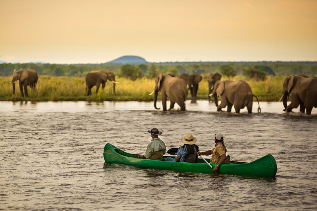 Canoeing the Zambezi River / Courtesy of Anabezi