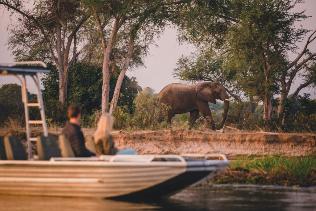 Lower Zambezi National Park / Courtesy of Classic Zambia