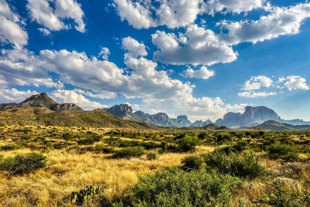 View of the Chisos Mountains in Big Bend National Park / Adan Guerrero / Unsplash