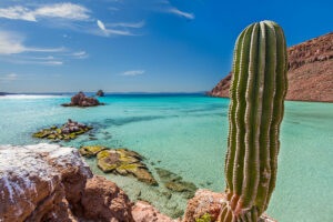 The Sea of Cortez from Isla Espiritu Santo / Courtesy of TOSEA