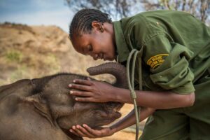 Reteti Elephant Sanctuary / Courtesy of Reteti Elephant Sanctuary
