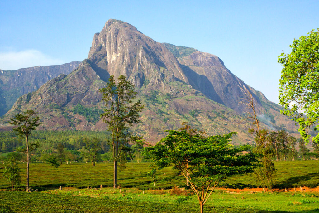 Mount Mulanje, Malawi / David Davies / Wikimedia Commons