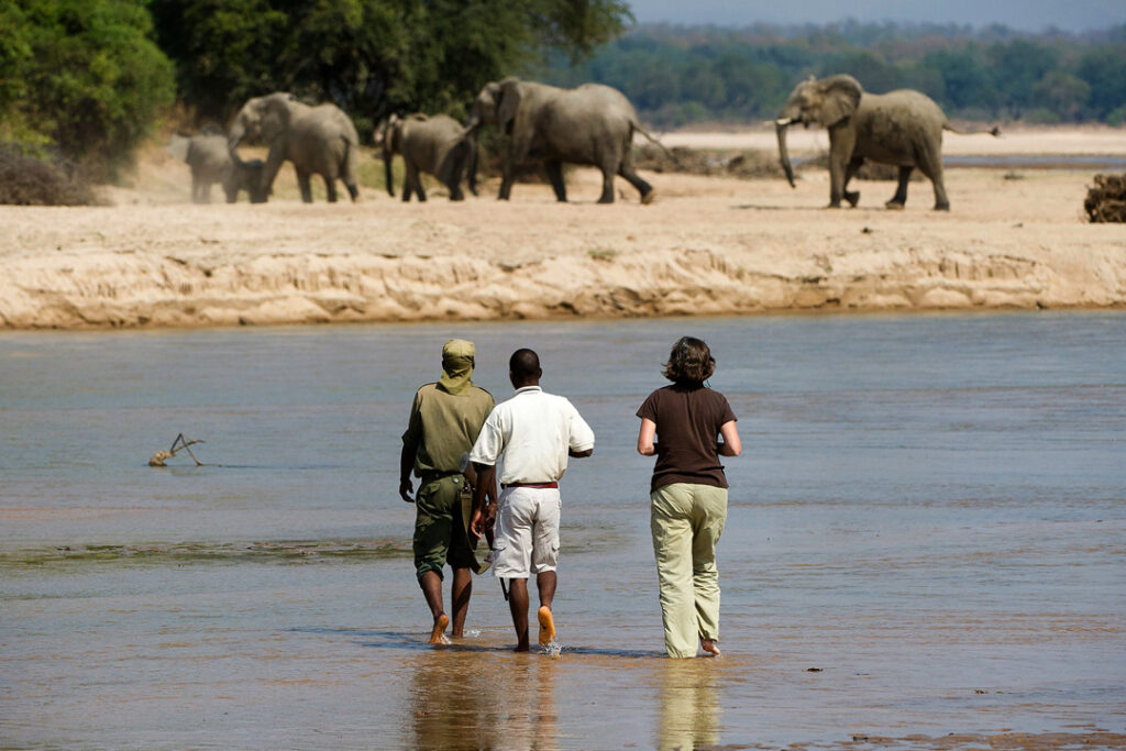 Bushcamp Walking Safari, Zambia / Courtesy of Classic Portfolio