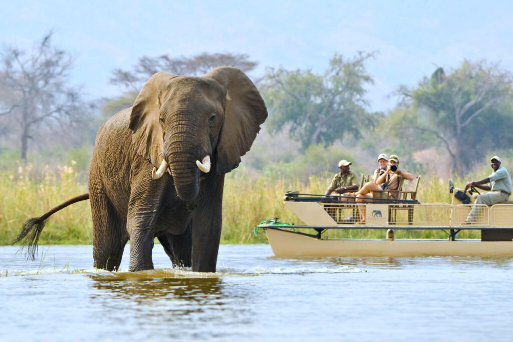 Cruise on the Zambezi at Chiawa Camp / Courtesy of Chiawa Camp