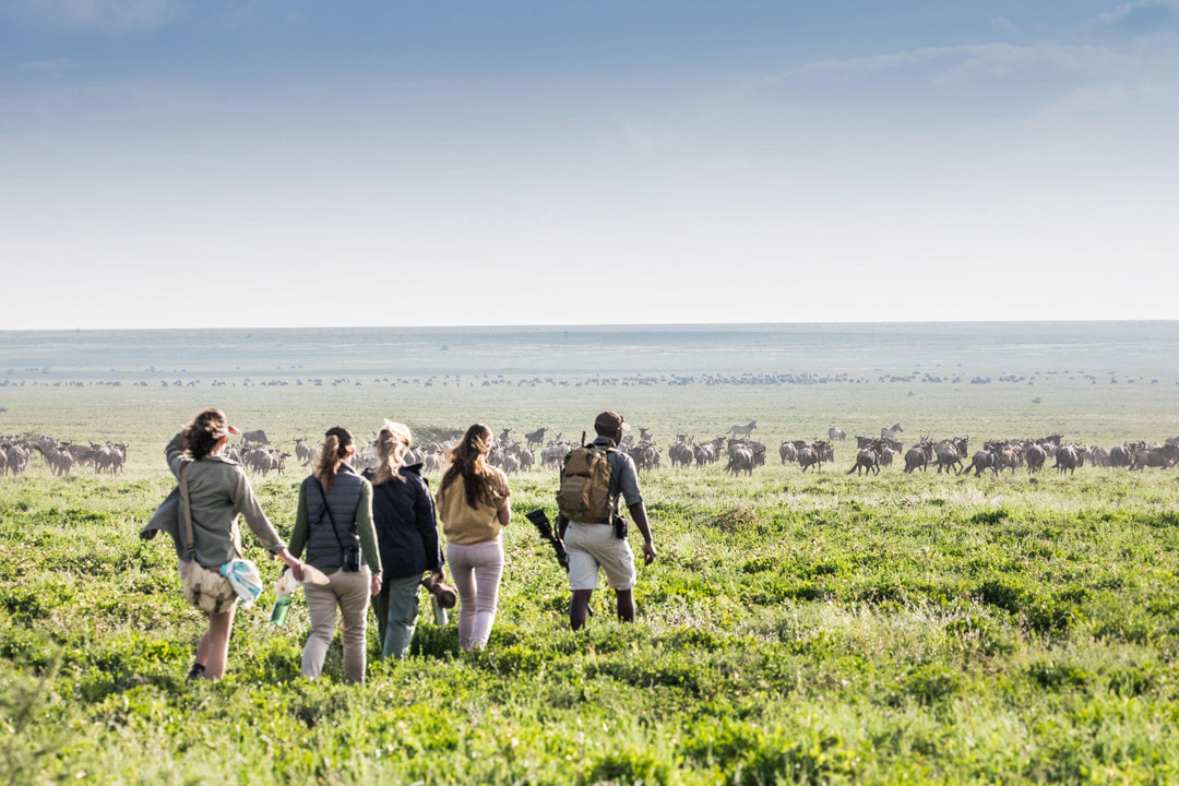 Nyasi Migrational Camp / Courtesy of Legendary Expeditions