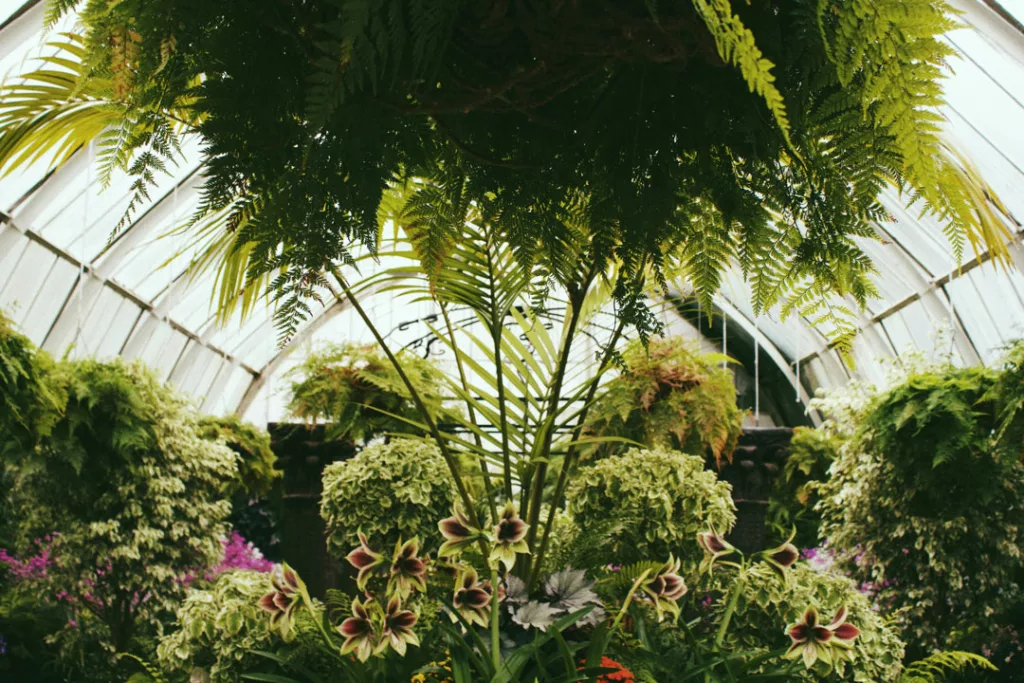 Christchurch Botanical Gardens / Raelle Gann Owens / Unsplash New Zealand