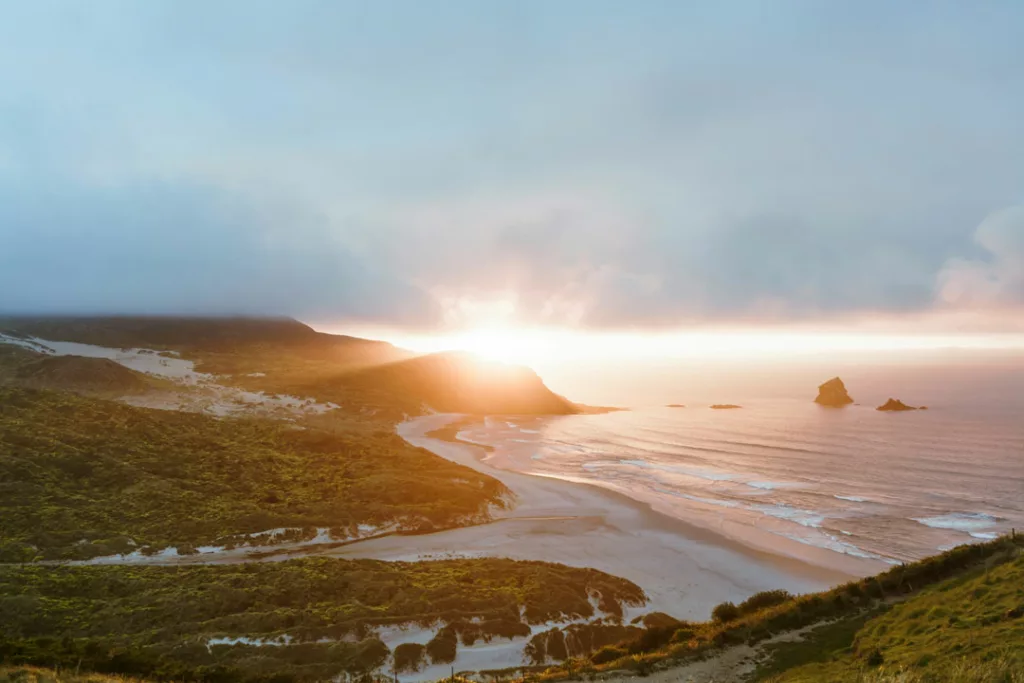 Empty beach near Dunedin / Thomas Hetzler / Unsplash