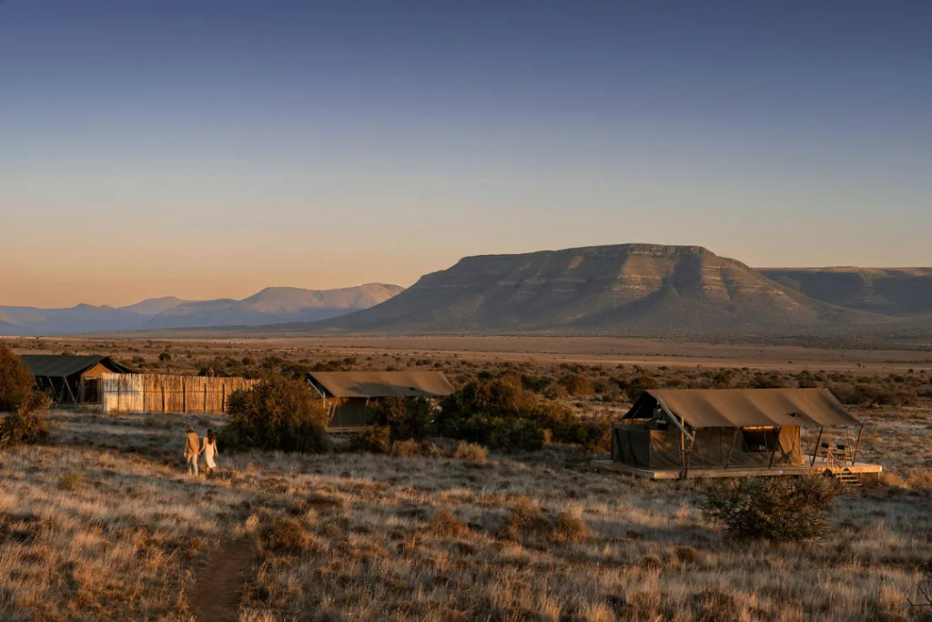 Samara Karoo Plains Camp / Courtesy of Samara