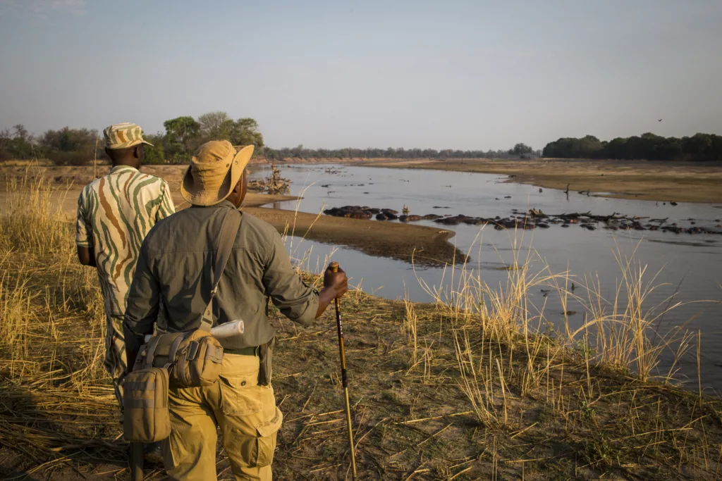 Zambia / Scott Dubois