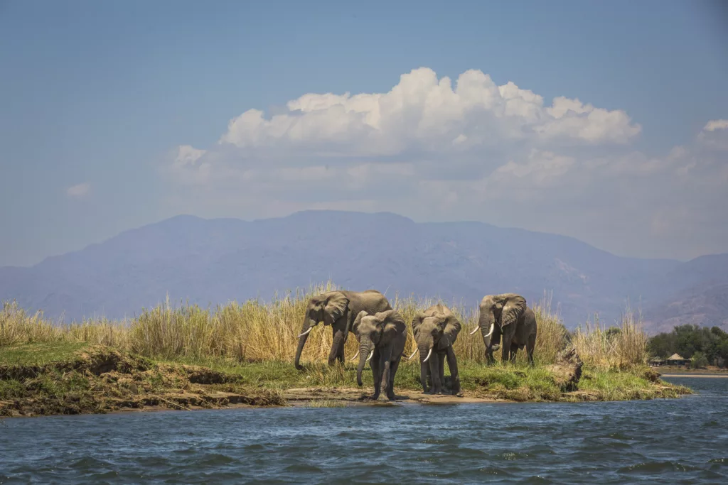 Zambia / Scott Dubois